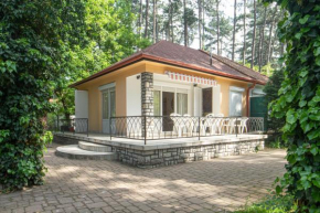 MF Ady 65 Apartment